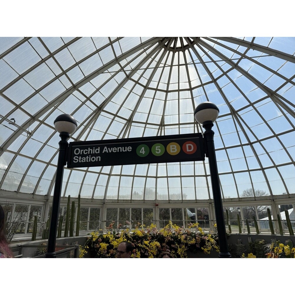 Ana Inciardi Mini Print NYBG Conservatory 2026 Orchid Show Exclusive - Picture 2 of 7